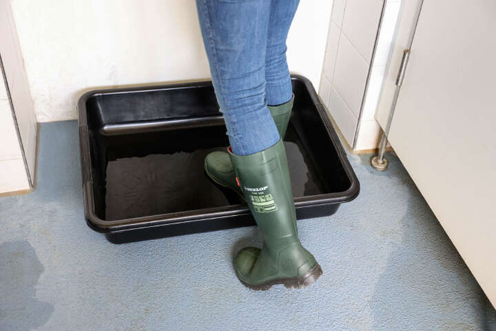 KERBL Stiefeldesinfektionswanne Premium